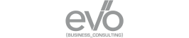 evo business consulting