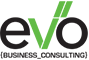 evo business consulting